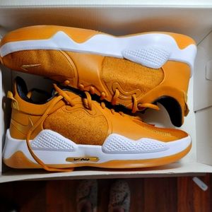 Nike pg5 wheat/metallic/gold grain men's 13